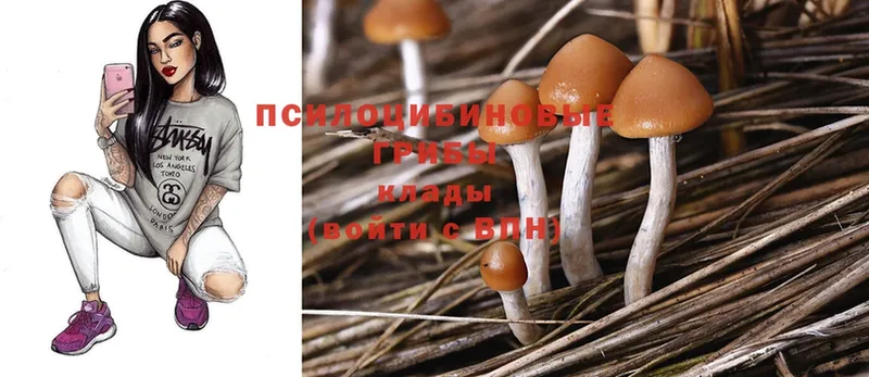 маркетплейс наркотические препараты  Сорск  Псилоцибиновые грибы Cubensis  хочу  